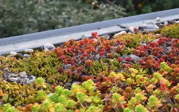 the cost of Capel Betws Lleucu green roof installation