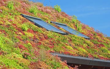 Capel Betws Lleucu living roof systems